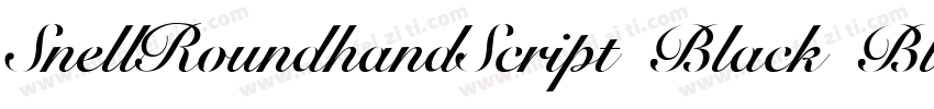 SnellRoundhandScript Black BlackI字体转换